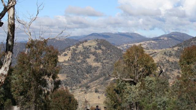 Paddys River NSW Attractions