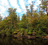 A R Reflections River Cruises - Attractions