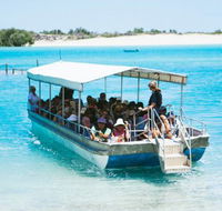Willie Creek Pearl Farm - Attractions