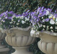 Gardenalia Open Garden and Rare Plant Nursery - Attractions