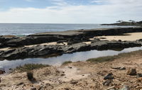 Yamba Tours and Charters