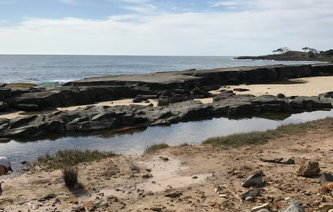 Yamba Tours And Charters - Attractions 0