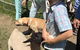 Yamba Tours And Charters - thumb 2