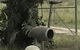 Yamba Tours And Charters - thumb 7