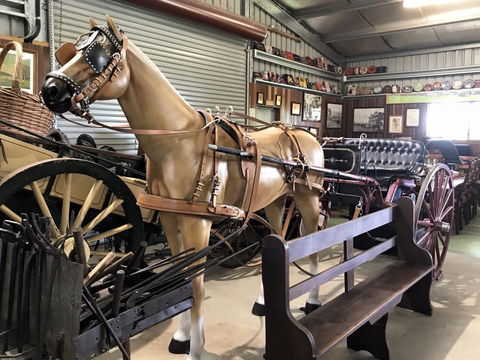 Yamba Tours And Charters - Attractions 9