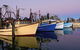 Yamba Tours And Charters - thumb 14