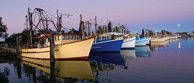 Yamba Tours And Charters - Attractions 14