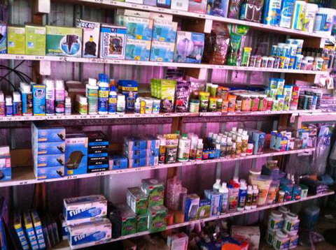 Hurley’s Aquariums - Attractions Las Vegas 1