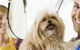 Port Stephens Pet Barn - thumb 1