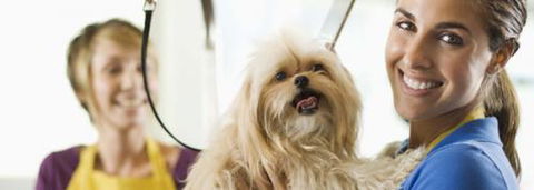 Port Stephens Pet Barn - Attractions 1
