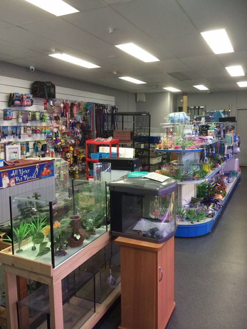 Nambour Pet Shop - See Attractions 0
