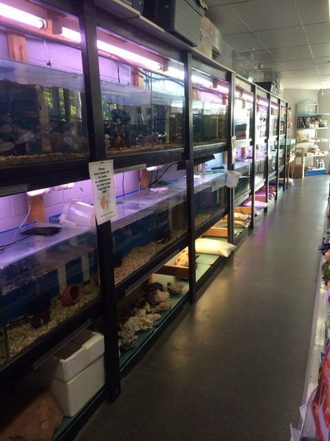 Nambour Pet Shop - See Attractions 1