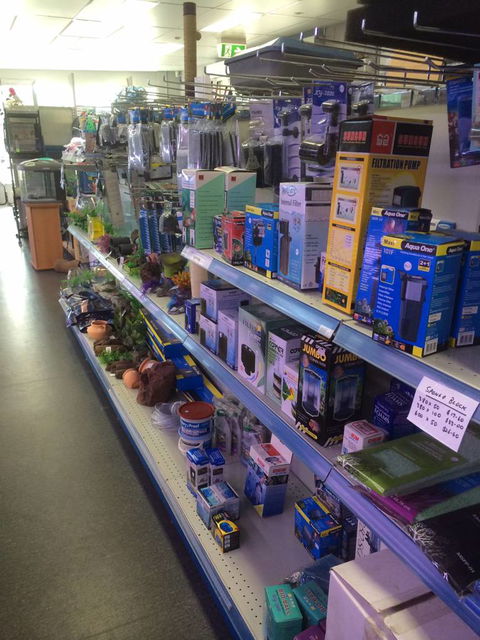 Nambour Pet Shop - See Attractions 2