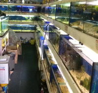 Clearwater Aquariums - Attractions