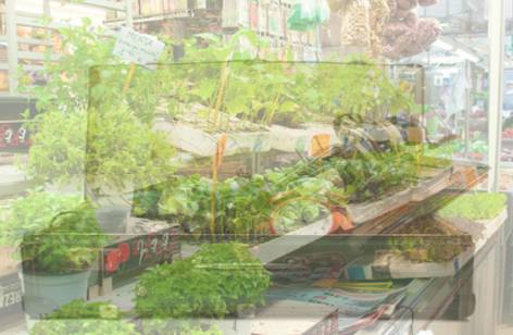 Warrawong Markets - Attractions 2