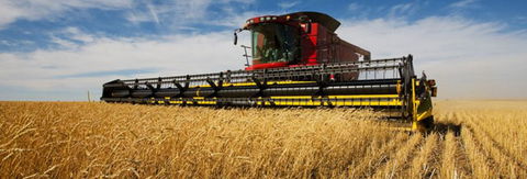 Quirindi Grain And Produce - Attractions 0