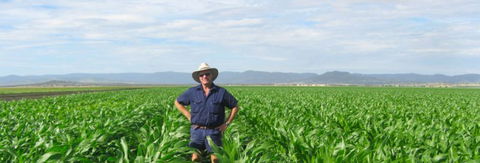 Quirindi Grain And Produce - Attractions 1