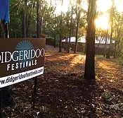 Didgeridoo Jam in the Park - Attractions