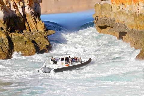 Horizontal Falls Half-Day Tour From Broome - Attractions 2