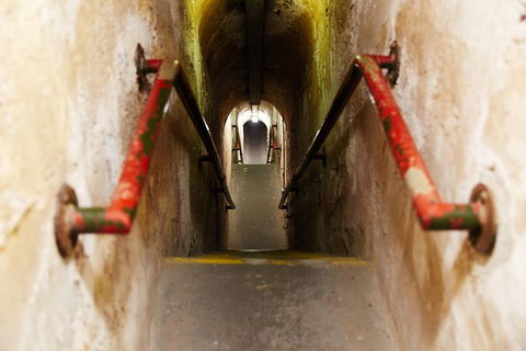 Rottnest Island Grand Tour Including Lunch And Historical Train Ride - Attractions 3