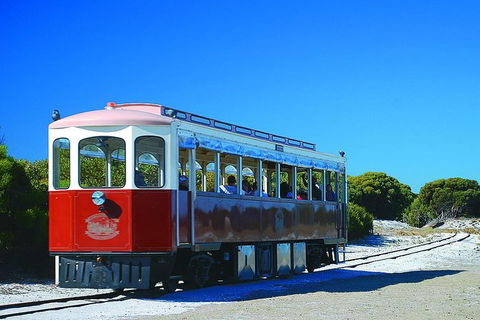 Rottnest Island Grand Tour Including Lunch And Historical Train Ride - Attractions 6