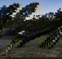 Stargazing Busselton with Mobile Observatory - Attractions