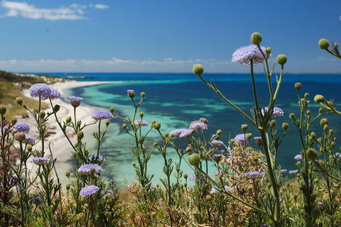 Rottnest Island Bayseeker Tour - Attractions 6
