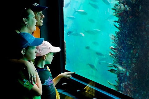 2-hour Busselton Jetty Package: Jetty Train And Underwater Observatory - Attractions 1