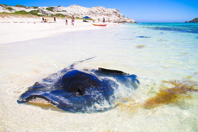Margaret River WA Attractions