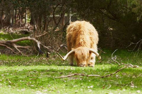 Private Custom Margaret River Tour - Attractions 21