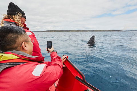 Private Custom Margaret River Tour - Attractions 16