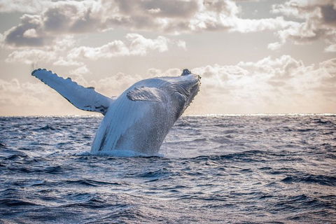 Private Custom Margaret River Tour - Attractions 18