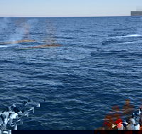Blue Whale Perth Canyon Expedition - Attractions
