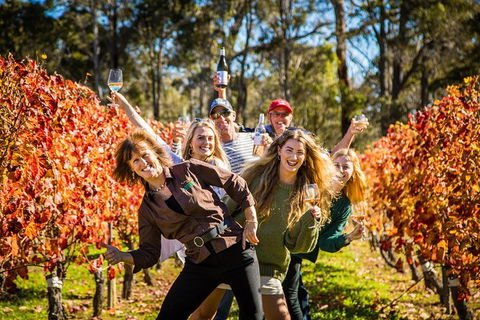 Margaret River Winery And Brewery Day Trip, Plus Gourmet Winery Lunch - Attractions 4