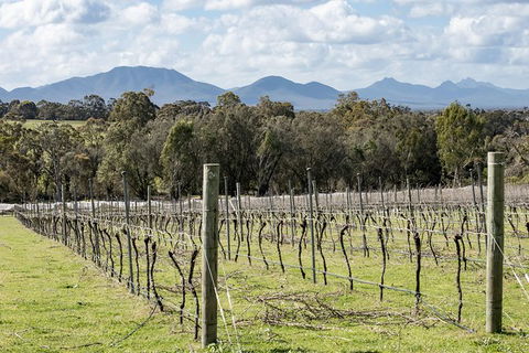 Mt Barker Grape Escape - Attractions 1