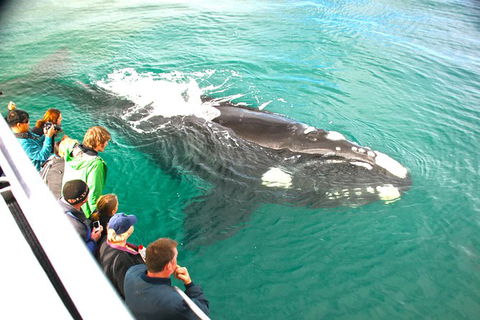 Dunsborough Whale Watching Eco Tour - Attractions 3