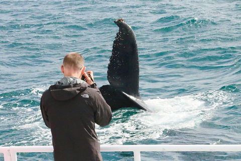 Dunsborough Whale Watching Eco Tour - Attractions 9