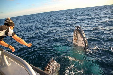 Dunsborough Whale Watching Eco Tour - Attractions 5