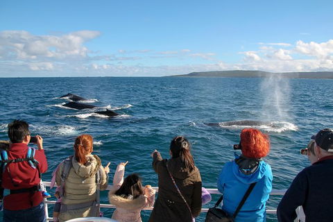 Dunsborough Whale Watching Eco Tour - Attractions 4