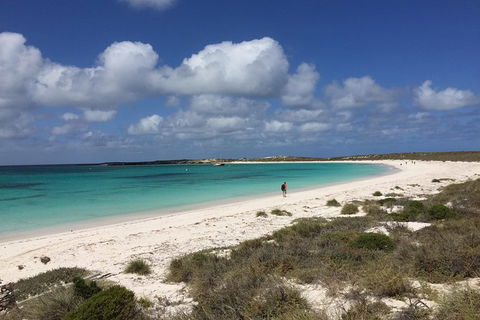 Abrolhos Island Half Day Fly And Flipper - Attractions 0