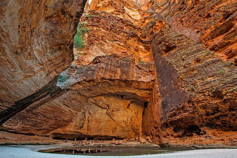 Bungle Bungle Stay Over With Scenic Flights, Guided Walk, Accommodation & Meals - Attractions Las Vegas 2