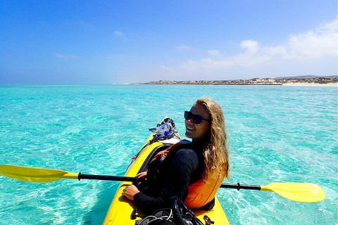 Lagoon Explorer - Ningaloo Reef Full-Day Kayaking And Snorkeling Adventure - Attractions 0