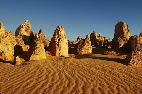 Full Day Pinnacle Desert Explorer From Perth Including Hillarys And Lancelin Sandboarding - Attractions 1