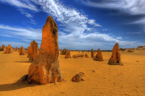 Full Day Pinnacle Desert Explorer From Perth Including Hillarys And Lancelin Sandboarding - Attractions 5