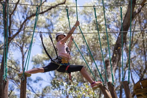 Busselton High Ropes And Zipline Adventure - Attractions 1