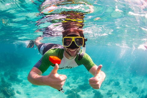 Swim With Whale Sharks- The Largest Fish In The World! - Attractions 23