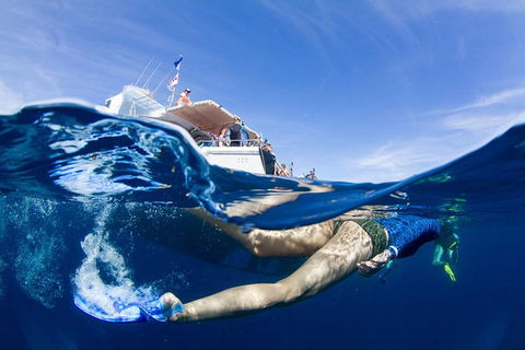 VIP Luxury Chartered Escapes, Exploring The Reef At Your Own Pace - Attractions 40