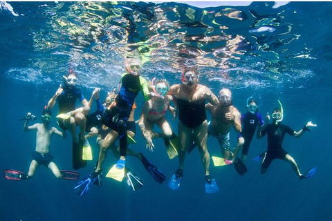 VIP Luxury Chartered Escapes, Exploring The Reef At Your Own Pace - Attractions 13