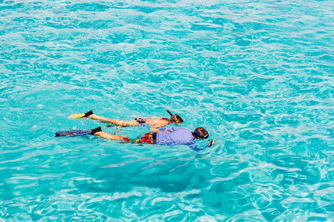 VIP Luxury Chartered Escapes, Exploring The Reef At Your Own Pace - Attractions 29