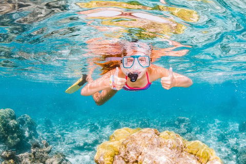 VIP Luxury Chartered Escapes, Exploring The Reef At Your Own Pace - Attractions 48